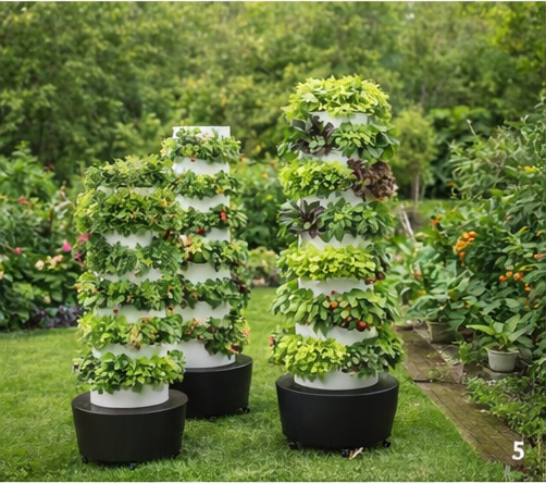 De start van GrowHealthyFood – YOUR HOME, YOUR GARDEN, YOUR HEALTH